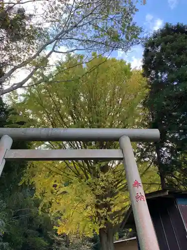 松尾神社の鳥居