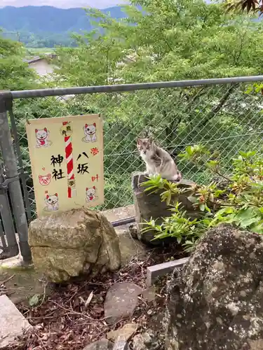 鹿角八坂神社の御朱印