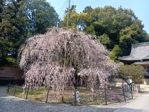 （長良）天神神社(岐阜県)