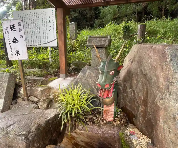 飛龍八幡宮(山口県)