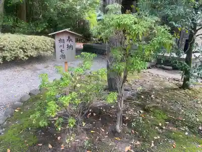 雄山神社前立社壇(富山県)