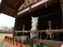 賀茂別雷神社（上賀茂神社）の動物