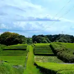 八幡神社の景色