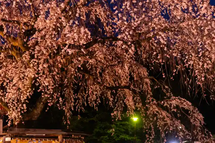 富士山本宮浅間大社(静岡県)