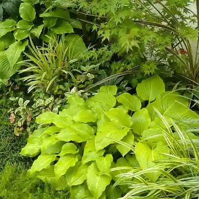 寿量山 速成寺(奈良県)