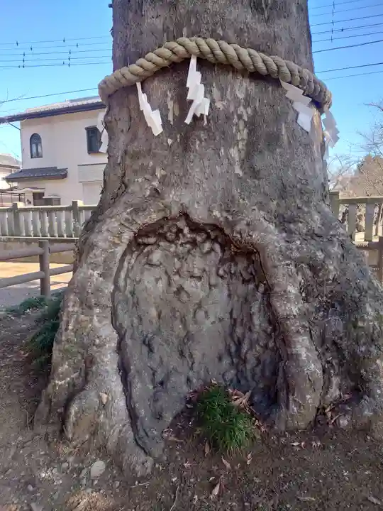 廣瀬神社(埼玉県)
