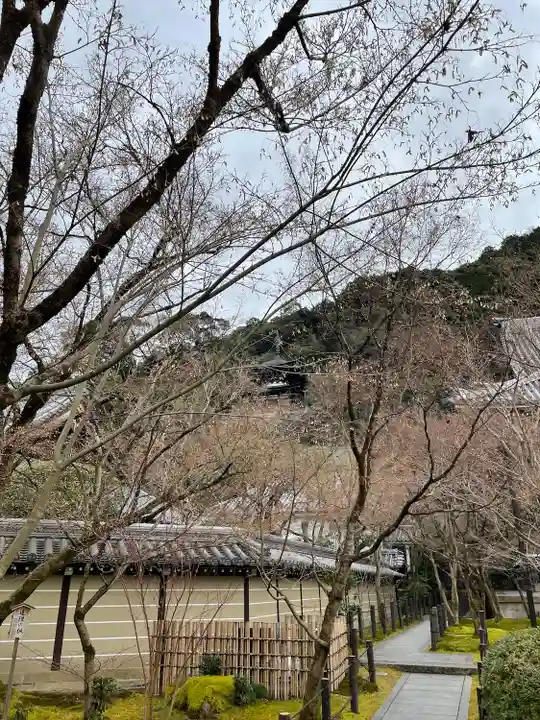 禅林寺(永観堂)のその他建物