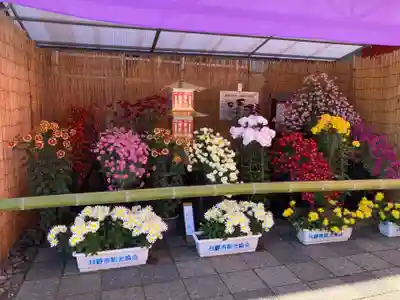 高幡不動尊　金剛寺(東京都)