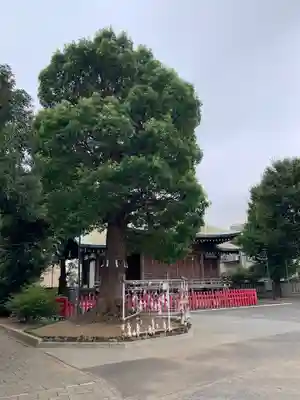 東京羽田 穴守稲荷神社のその他建物