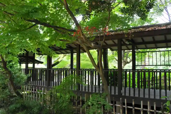 本土寺(千葉県)