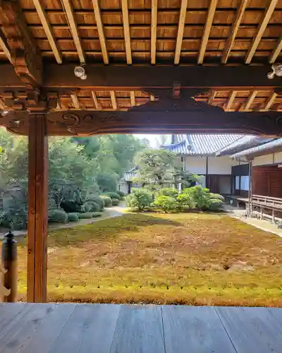 隨心院（随心院）(京都府)