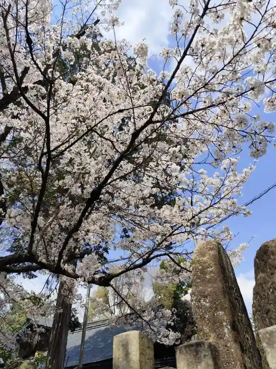 荒木神社(京都府)