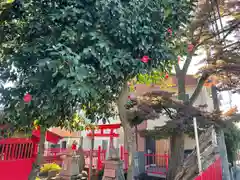 椿稲荷神社(神奈川県)