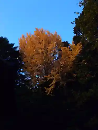 速谷神社(広島県)