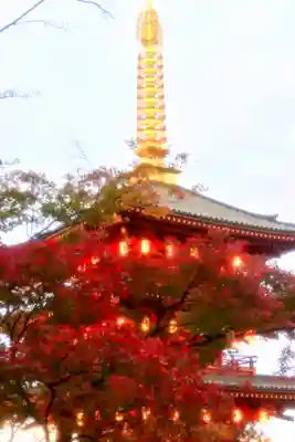 高幡不動尊　金剛寺(東京都)
