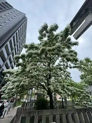 金神社(岐阜県)