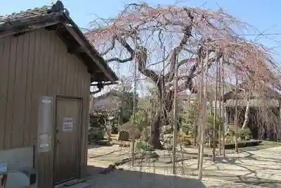 悟渓寺の建物その他