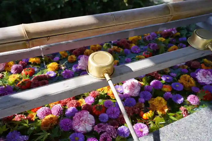 豊景神社の手水舎