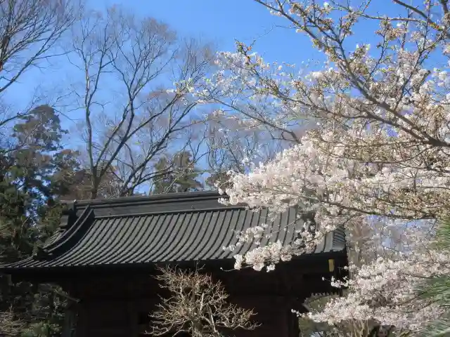 妙本寺の地蔵