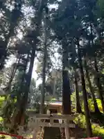 大宮温泉神社(栃木県)