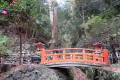 鞍馬寺(京都府)