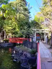 富岡八幡宮(東京都)