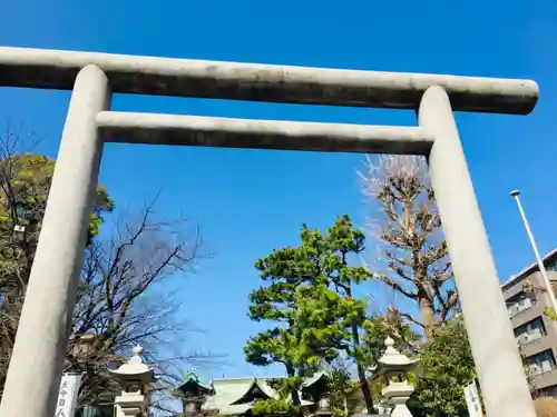 桜神宮の鳥居