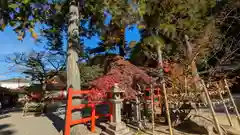 竹中稲荷神社（吉田神社末社）(京都府)