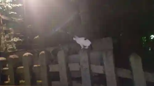 伏見稲荷大社(京都府)