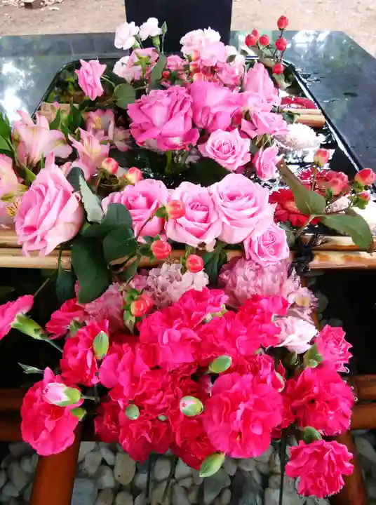 大谷地神社の手水舎