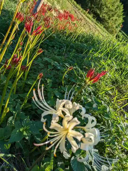 宝城坊(神奈川県)