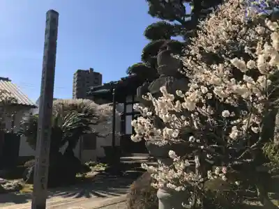 福泉寺(神奈川県)