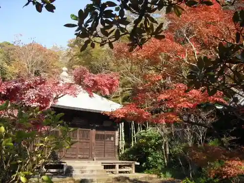 浄光明寺の自然