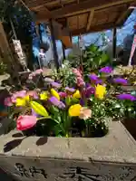 三光稲荷神社の手水舎