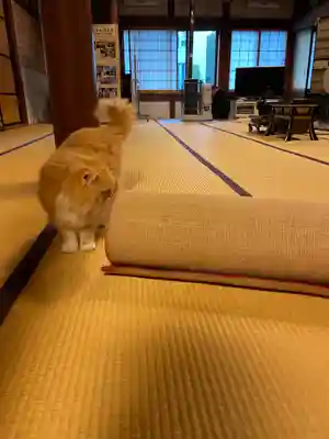 當光寺(東京都)