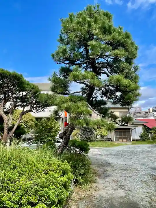 大乗寺(神奈川県)