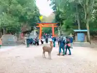 春日大社(奈良県)