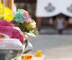 札幌諏訪神社の体験その他