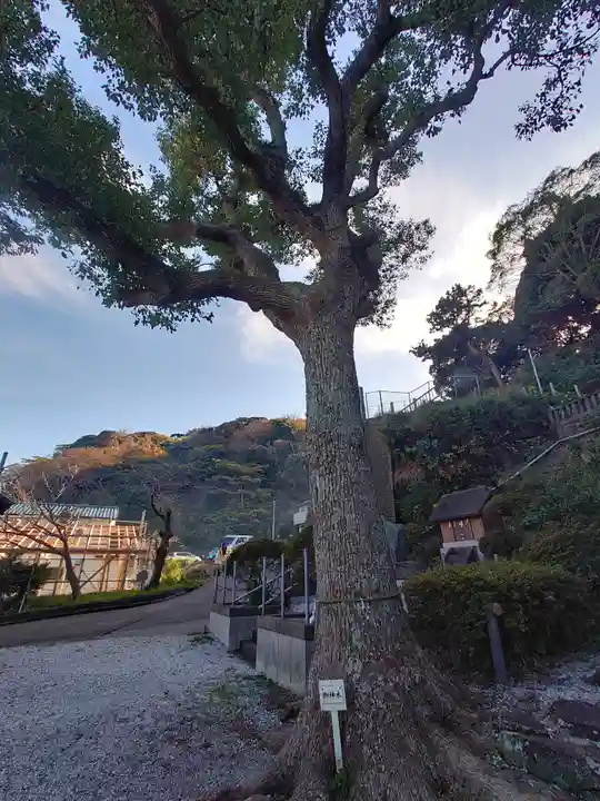 走水神社(神奈川県)