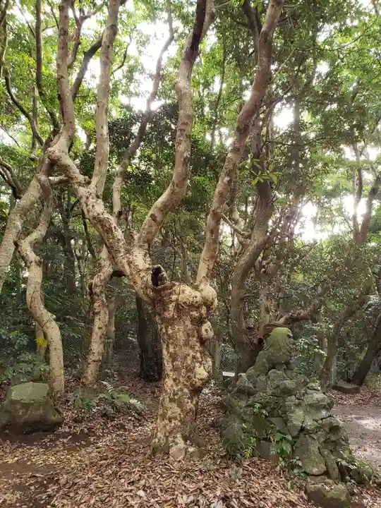 渡海神社の自然
