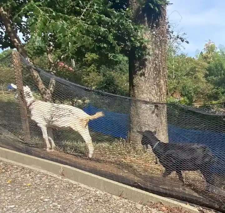 熊野那智神社(宮城県)