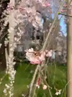 慈雲寺(山梨県)