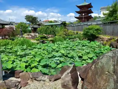 家原寺(大阪府)
