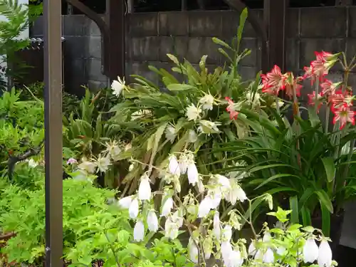 補陀落寺の自然