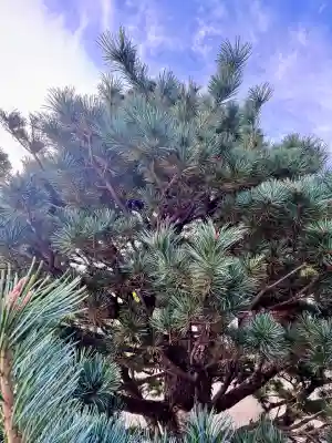 光照院門跡(京都府)