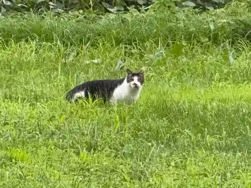 鬼神社(青森県)
