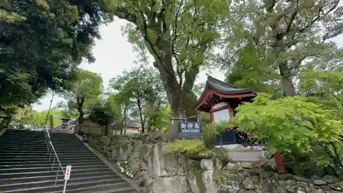 鹿児島神宮(鹿児島県)