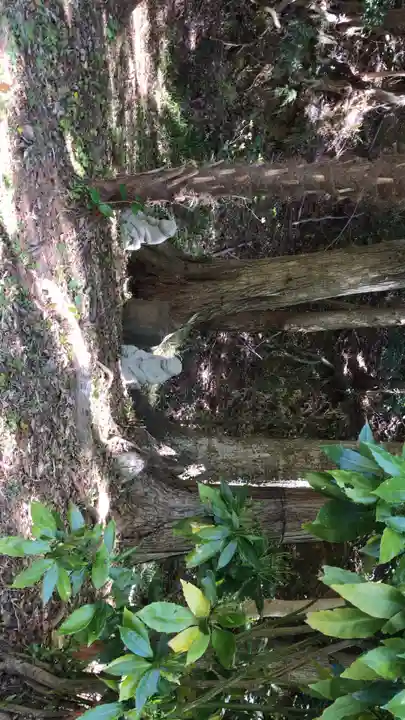 猿田彦神社(三重県)