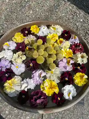 草加神社の手水舎