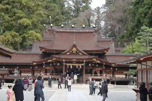 多賀大社の本殿・本堂